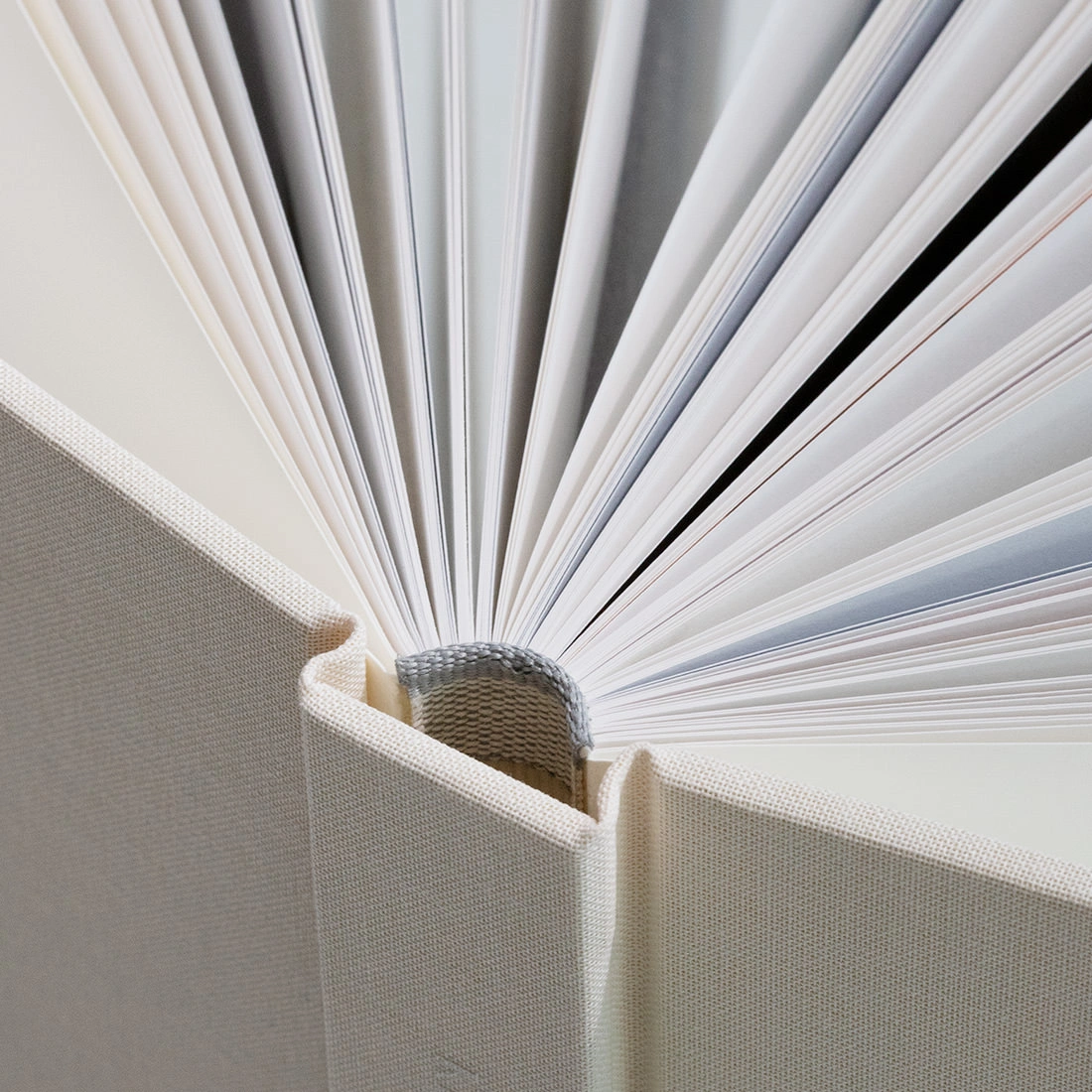 The Premium Collection - Gallery Image 4